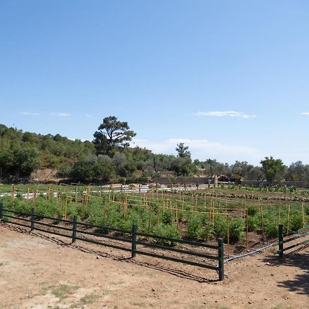 Leone Natural Ayvalik Luaran gambar