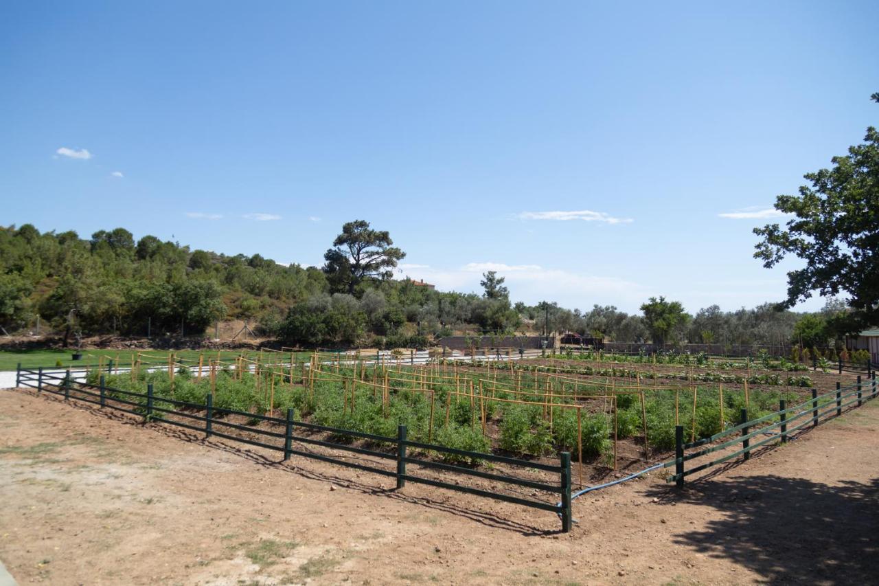 Leone Natural Ayvalik Luaran gambar