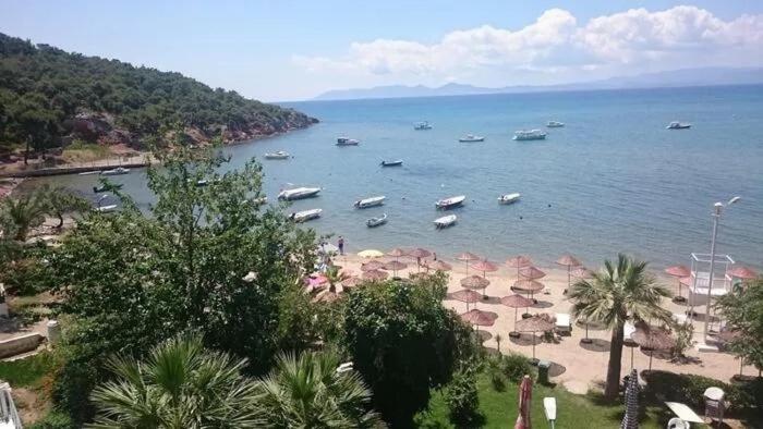 Leone Natural Ayvalik Luaran gambar